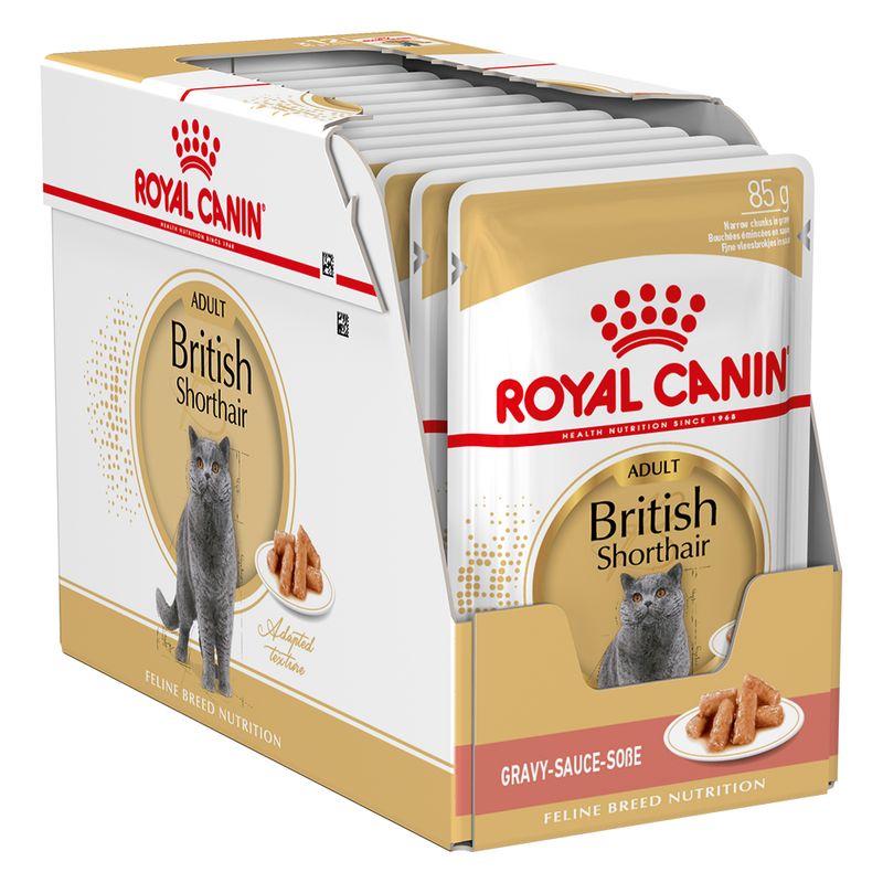 Royal Canin British Shorthair 12x85gr Cibo Umido per Gatti Royal Canin British Shorthair 12x85gr Cibo Umido per Gatti